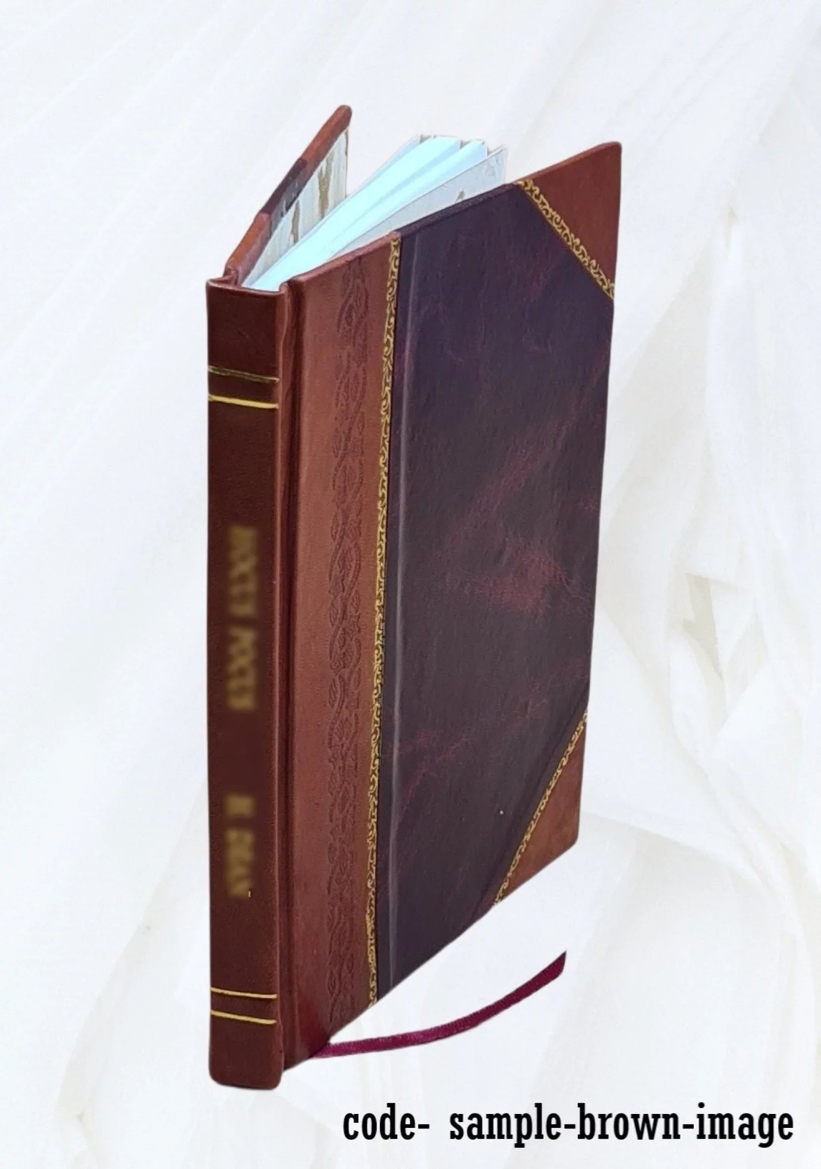 Commentationis de [asebeias graphe] sive De impietatis actione tum aliis viris claris tum maxime philosophis ab Atheniensibus intenta particula I 1846 [Leather Bound]