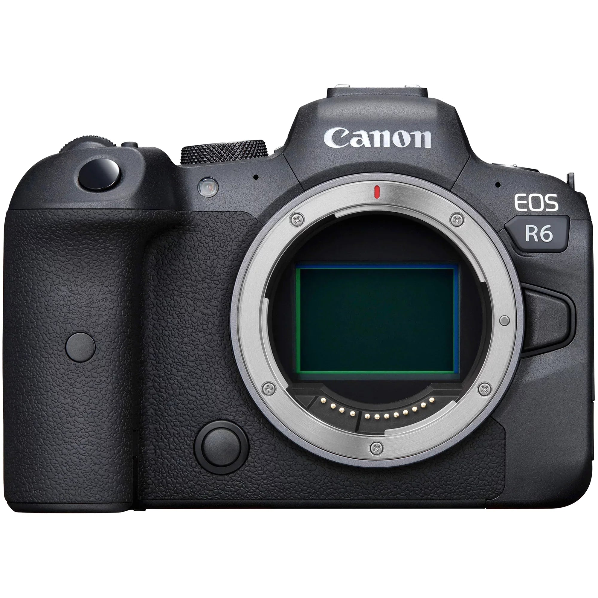 Canon EOS R6 Mirrorless Digital Camera with RF 24-105mm STM + 75-300mm Lens + Mount Adapter + 2 Pack SanDisk 32GB + ZeeTech Accessory
