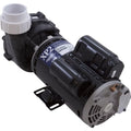 Pump, Aqua Flo XP2, 2.5ohp/4.0thp, 230v, 2-Speed, 48fr, 2", OEM