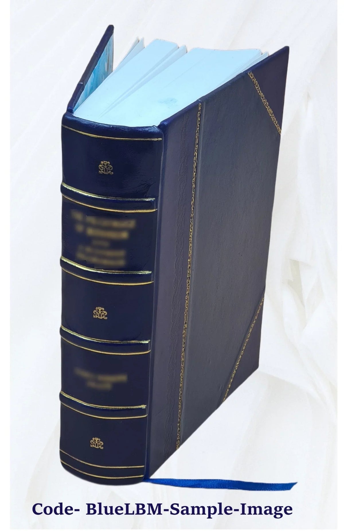 Report of the Committee on Charles River dam appointed under resolves of 1901 chapter 105 to consider the advisability and feasibility of building a dam across the Charles River at or near Craigie bri