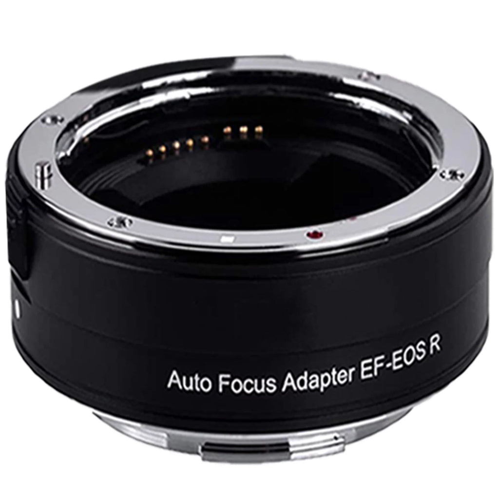 Canon EOS R6 Mirrorless Digital Camera with RF 24-105mm STM + 75-300mm Lens + Mount Adapter + 2 Pack SanDisk 32GB + ZeeTech Accessory