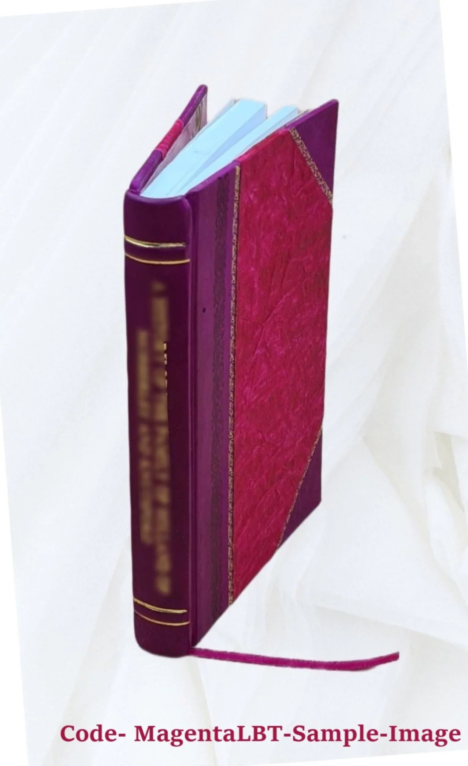 Orion Volume February, 1917 1917 [Leather Bound]