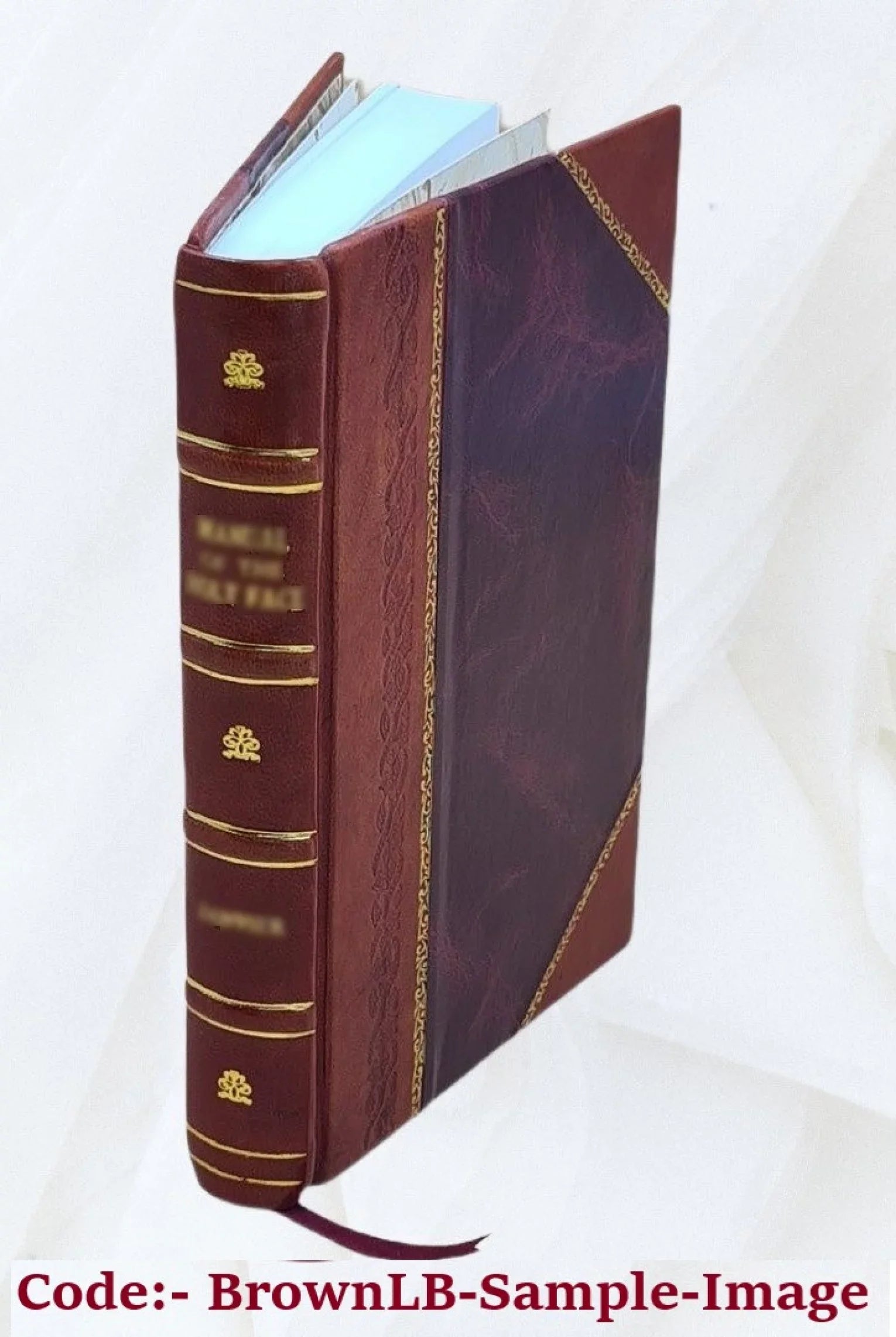 Maphaei s.r.e. card. Barberini nunc Vrbani PP. 8. Poemata [Leather Bound]