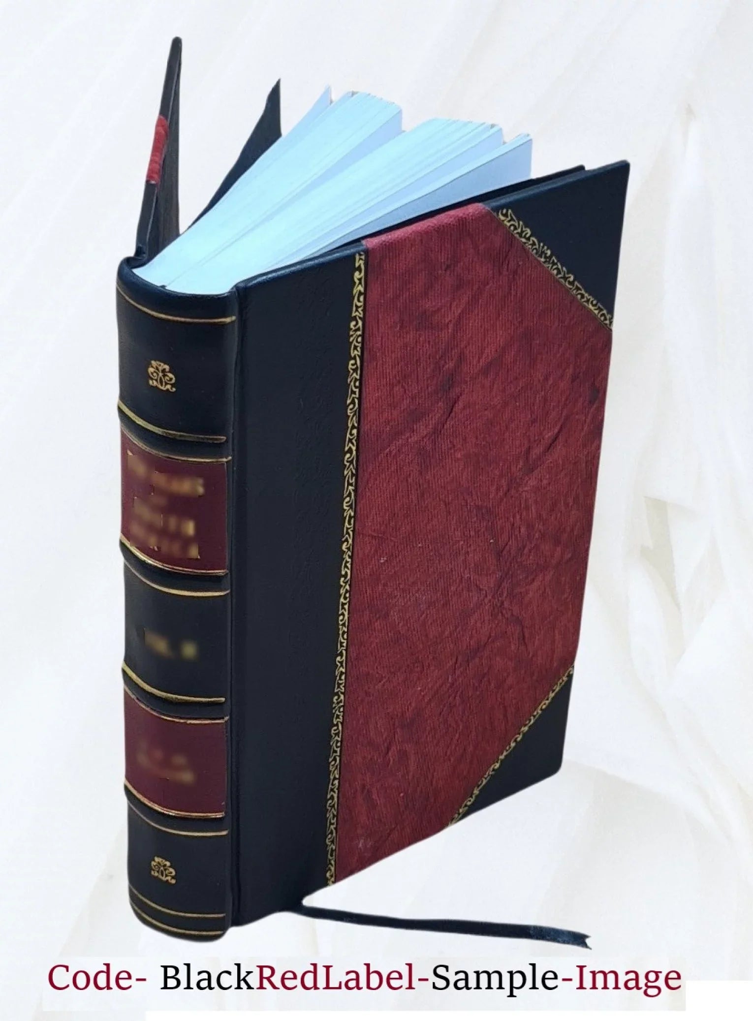 Nicolai Comneni Papadopoli Historia Gymnasii Patavini post ea, quæ hactenus de illo scripta sunt, ad hæc nostra tempora pleniùs, & emendatiùs deducta. Cum auctario de claris profes