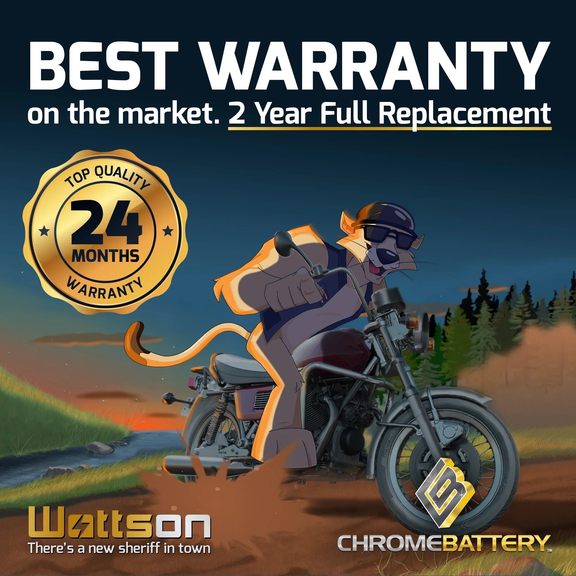 Chrome Pro Battery Ytx20hl-bs (20hl-bs 12 Volts,18 Ah, 310 Cca) Replacement Battery for 1998 Kawasaki Jt750 Sts, Stx