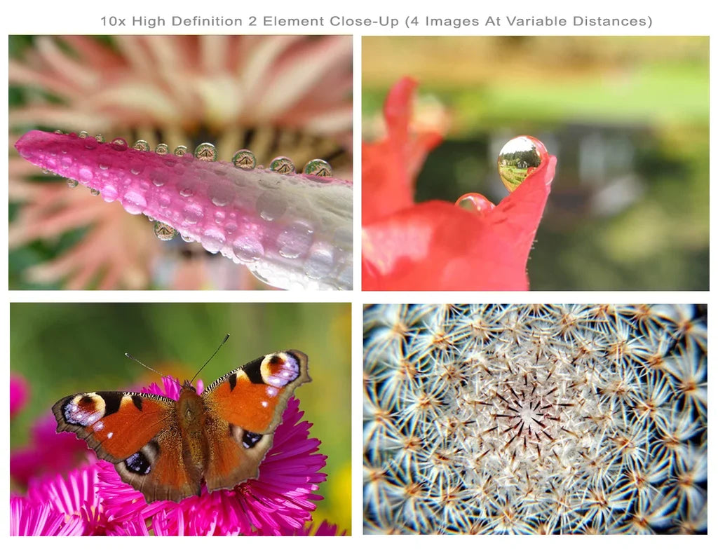 Olympus PEN E-PL6 10x High Definition 2 Element Close-Up (Macro) Lens (58mm)